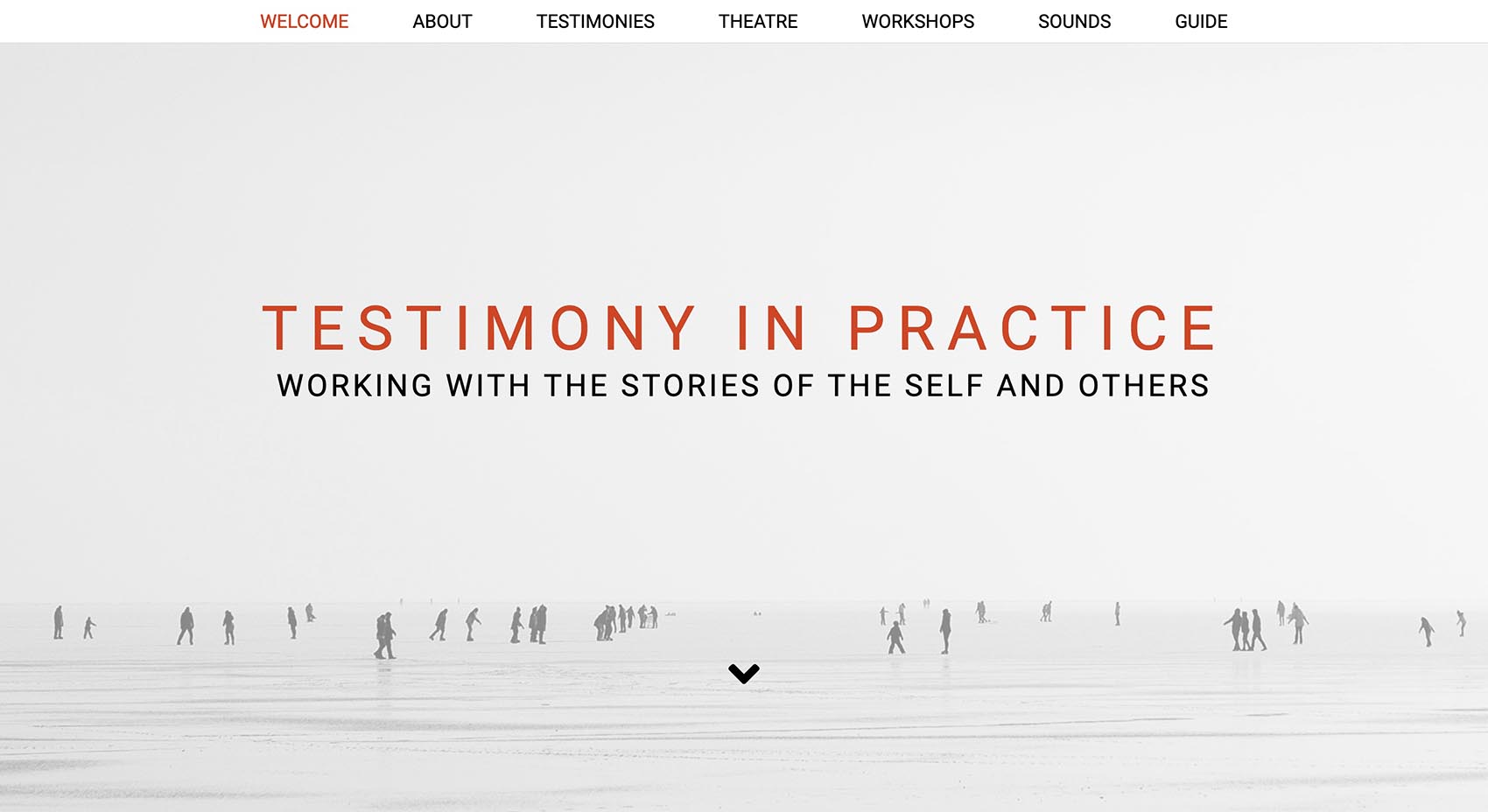 Testimony in Practice Screenshot of website: Testimony in Practice